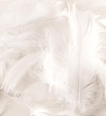 Eleganza Feathers Mixed sizes 3inch-5inch 50g bag White No.01 - Accessories